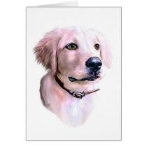 Golden Retriever Puppy cards