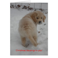 Golden Retriever Puppy Christmas Card
