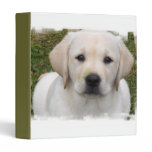 Golden Retriever Puppy Dog Binder binders