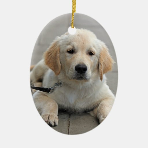 golden retriever puppy ornament golden retriever puppy beautiful photo ceramic ornament zazzle golden retriever puppy ornament golden retriever puppy beautiful photo ceramic ornament zazzle