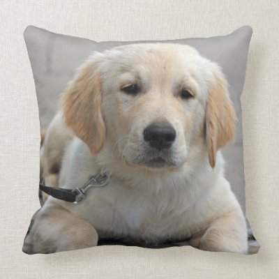 Golden Retriever puppy dog cute photo cushion Throw Pillows