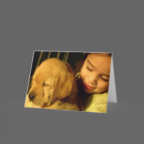 Golden Retriever Puppy Dog Photograph