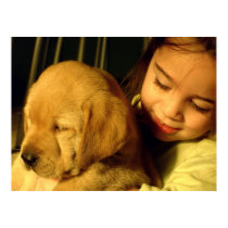 Golden Retriever Puppy Dog Photograph posters