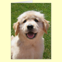 Golden Retriever Puppy Father's Day Card cards
