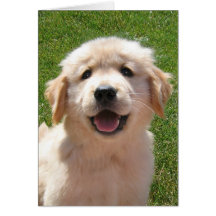 Golden Retriever Puppy Father's Day Card