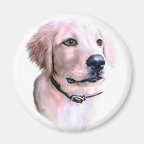 Golden Retriever Puppy magnets