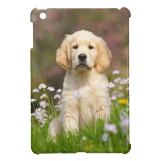 Golden Retriever puppy in a meadow, a cutie Goldie iPad Mini Case