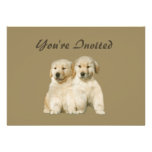 Golden Retriever Puppy Invitation