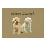 Golden Retriever Puppy Invitation