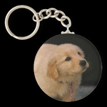 Golden Retriever Puppy keychains