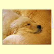 Golden Retriever Puppy Mother's Day Card cards