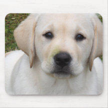 Golden Retriever Puppy Mouse Pad