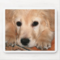 Golden Retriever Puppy mousepads