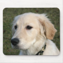 Golden Retriever Puppy mousepads