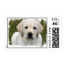 Golden Retriever Puppy Postage Stamp