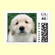 Golden Retriever Puppy Postage Stamp stamps