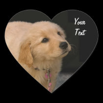 Golden Retriever Puppy stickers