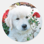 Golden Retriever Puppy Sticker