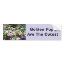 Golden Retriever Pups In Garden Bumper Sticker