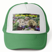 Golden Retriever Pups In Garden Hat