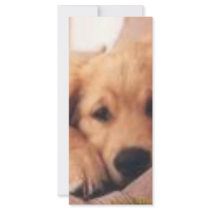 golden retriever rack card template