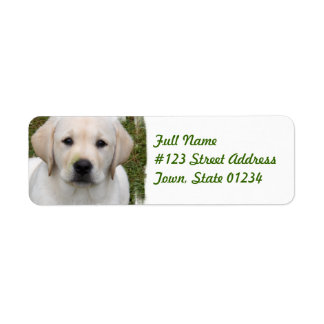 golden retriever address labels golden retriever return address labels templates zazzle golden retriever address labels golden retriever return address labels templates zazzle