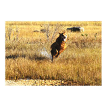 Golden Retriever Running Home posters by creative_eye Golden Retriever Running Home posters
