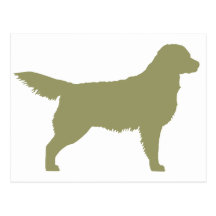Golden Retriever (sage green) Post Cards