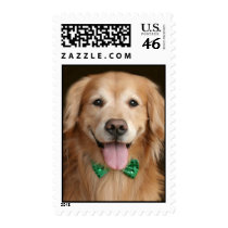 Golden Retriever St. Patrick's Day Postage Stamp