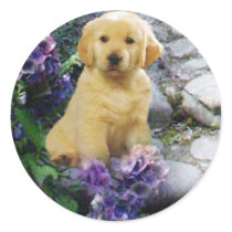 Golden Retriever Sticker Hydrangia by normagolden Golden Retriever Sticker Hydrangia