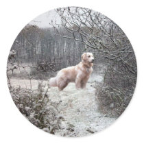 Golden Retriever Sticker Snow
