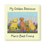 Golden Retriever Sunshine Magnets