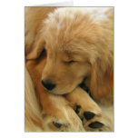 Golden Retriever Sweet Puppy Mother's Day Card