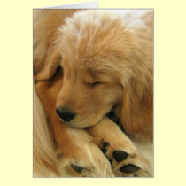 Golden Retriever Sweet Puppy Mother's Day Card cards