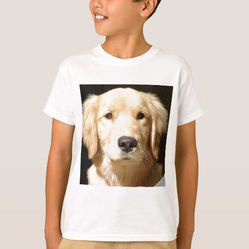 t shirt golden retriever