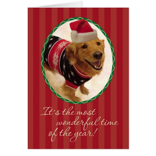 golden retriever sweater golden retriever tacky sweater card zazzle golden retriever sweater golden retriever tacky sweater card zazzle