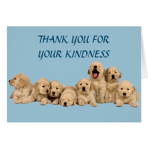 Golden Retriever Thank You Card Zazzle