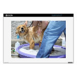 Golden Retriever - That the Spot! Decal For Laptop