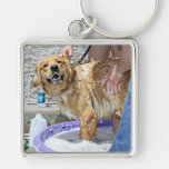 Golden Retriever - That the Spot! Keychain