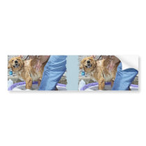 Golden Retriever - That's the Spot Bumper Stickers