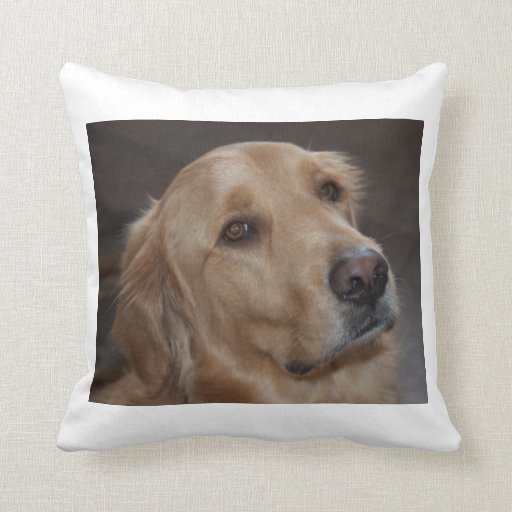 pottery barn golden retriever pillow