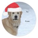 Golden Retriever To/From Christmas stickers sticker