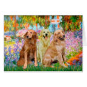 Golden Retriever Trio - Garden cards