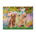 Golden Retriever Trio - Garden postcards