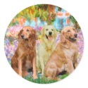 Golden Retriever Trio - Garden stickers