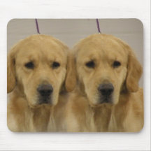 Golden Retriever Twins Mouse Pad