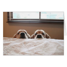 Golden Retriever "Up Yet?" Mother's Day Card