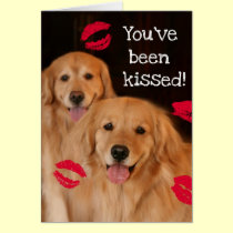 Golden Retriever Valentine's Day Card cards