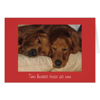 Golden Retriever Valentine Cards | Zazzle
