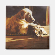 Golden Retriever Waiting For Mom Magnet
